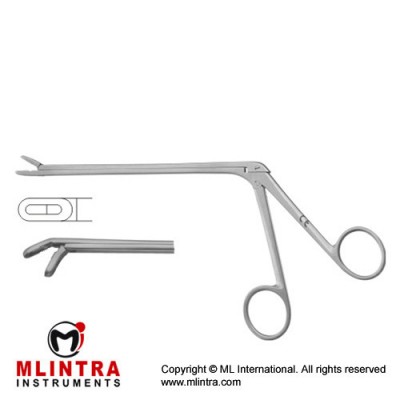 Leminectomy Rongeur Down - Fenestrated and Serrated Jaws Stainless Steel, 15.5 cm - 6" Bite Size 5 x 14 mm